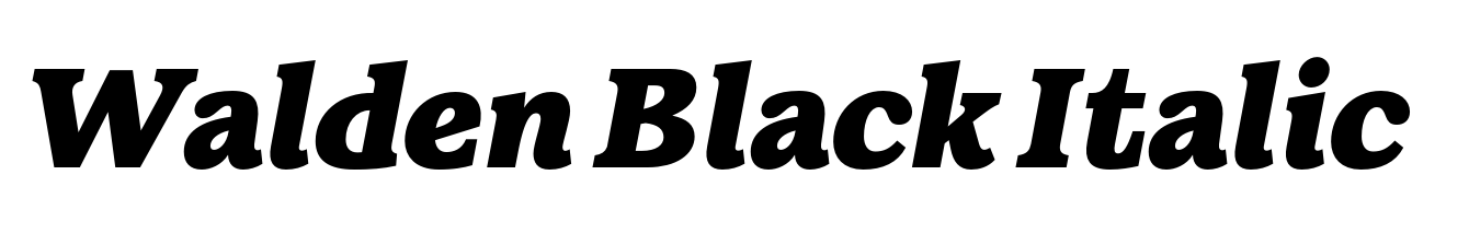Walden Black Italic